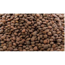 Brown Lentil Beans - 5lbs.